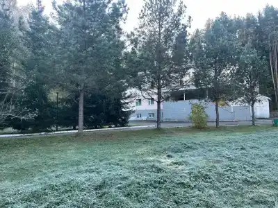 Мать и дитя - 46