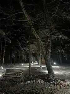 ПриродаРОДА - 85