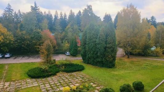 Голицыно - 65