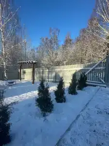 Лесное Гнездышко - 18