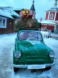Георгиевский - 7
