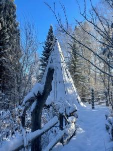 Хутор Кедровый на Зеленом острове - 32