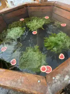 Багратион - 15