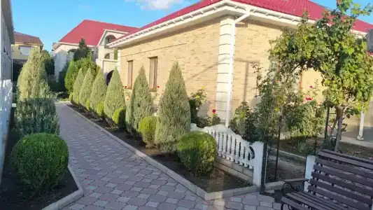 Магнолия - 0