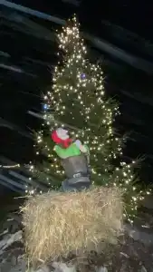 Петровское озеро - 22