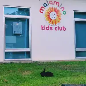 Malama Beach Holiday Village - 14