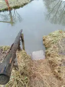 Медвежье урочище - 77