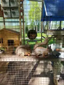 Серебряный Ключ - 79