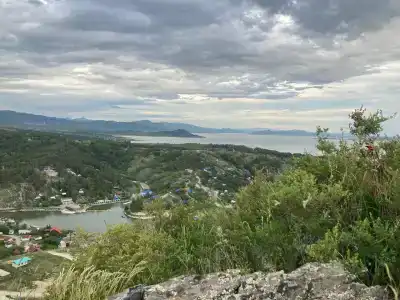 Березка - 14
