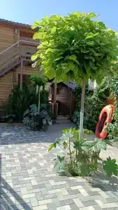 Азов Бриз - 97