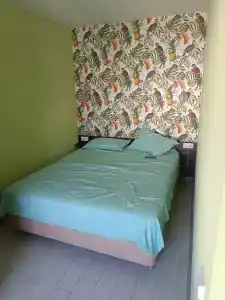 Велес Клуб - 32