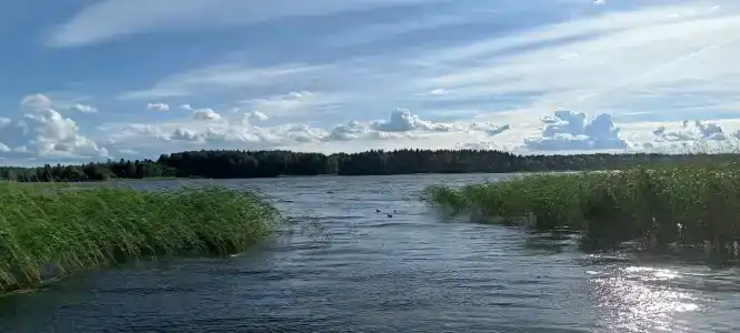 Сокольский Бор - 16