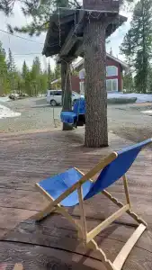 ForRest Сканди - 9