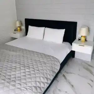 Altay dream house - 10