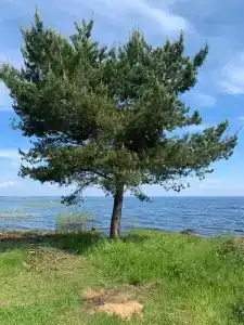 Три Берега - 6