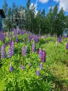 Красное Озеро - 6