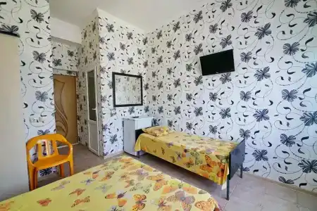 Аида - 20