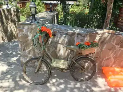 Весна - 63