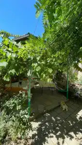 КристОля - 60