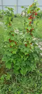 Уют&Тепло - 32