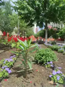 Энергетик - 36