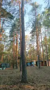Турбаза завода им. Фрунзе - 14