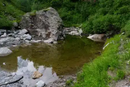Комы-Арт - 22