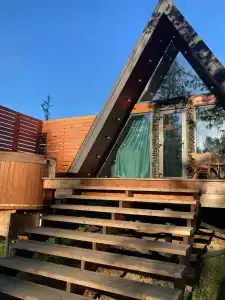 Ильинка лес - 30