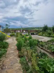 Горный родник - 22