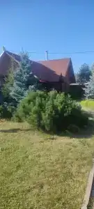 Усадьба Серебренниковых - 46