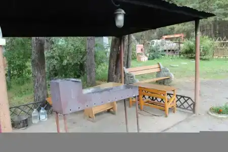 Тюльпан - 6