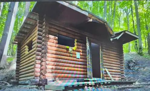 В Лес Афрейм - 17