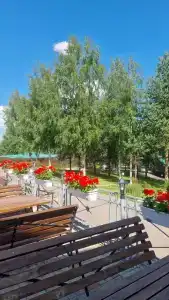 Черные камни - 50