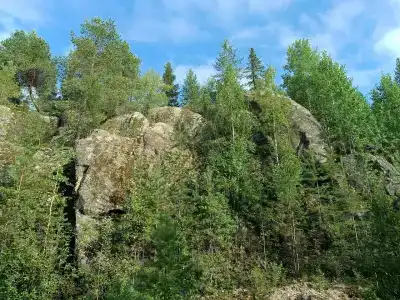 Нереис - 48