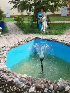 Сосновый бор - 14
