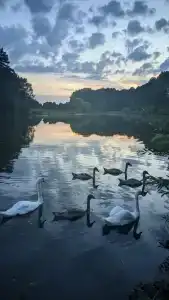 Агроусадьба Беловежская Гостевая - 2