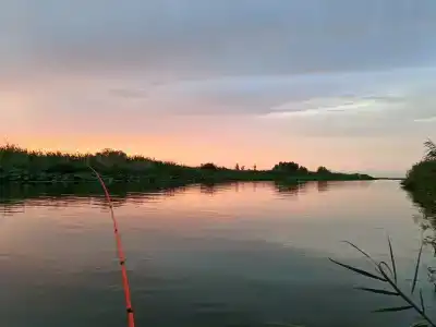 Цветок Лотоса - 39