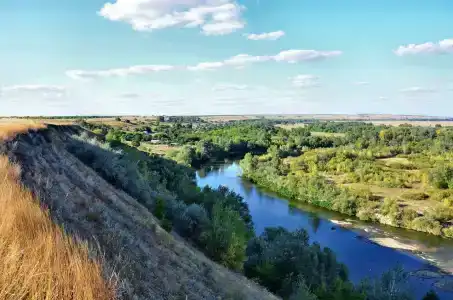Дары Дона - 19