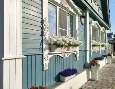 Петров Дом - 31