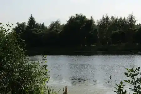 Ясенки - 16