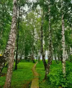 Энергия - 8
