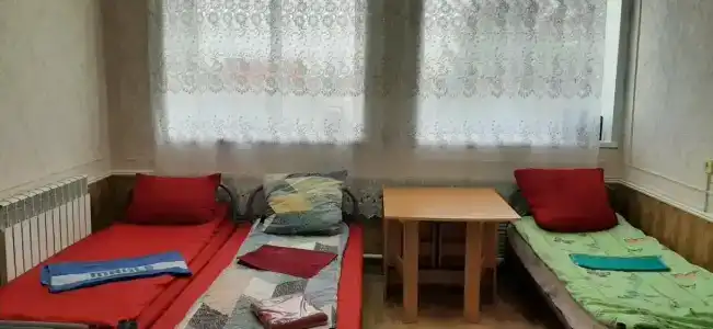 Дельфин - 8
