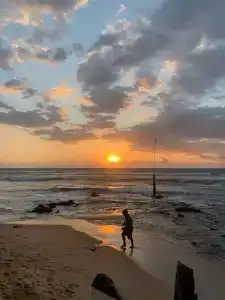 Cool Beach - 3