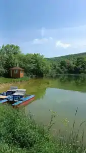 Родное - 71