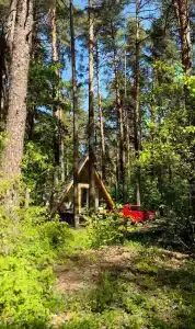 Медвежий Угол - 15
