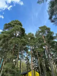 Лопотово - 41