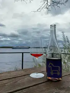 Дом на Волге - 18