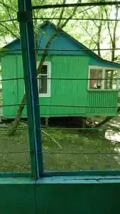 Экспресс - 20