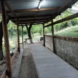 Могохсити - 35