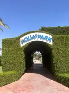 Desert Rose Resort - 51